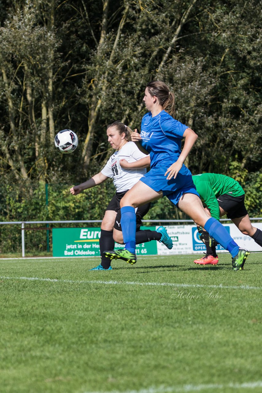 Bild 443 - Frauen VfL Oldesloe 2 . SG Stecknitz 1 : Ergebnis: 0:18